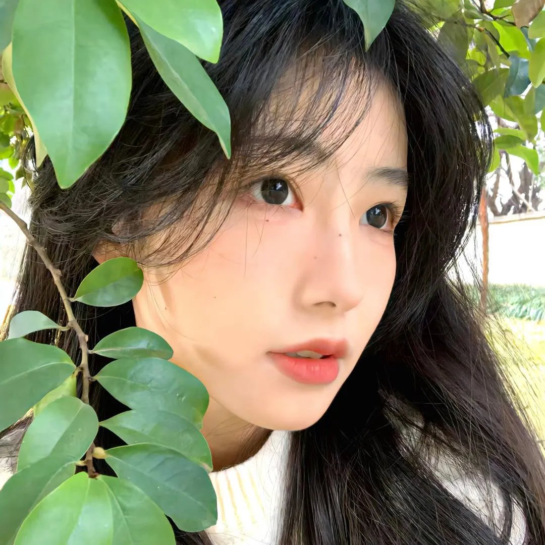 机动部队—同袍
