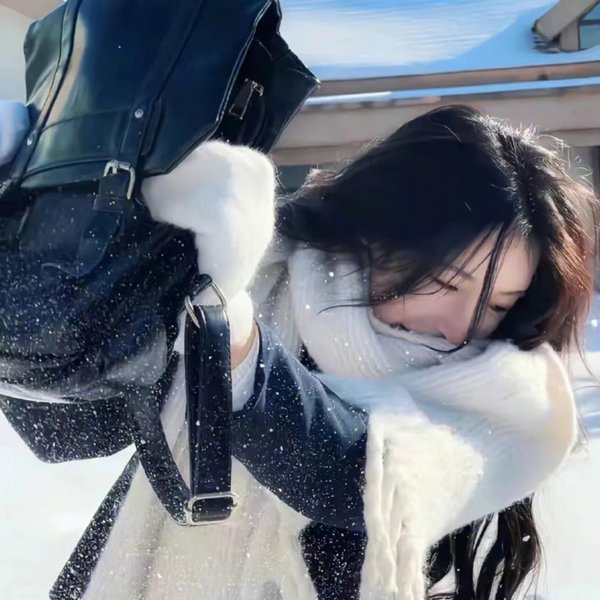 追风行动